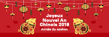 nouvel_an_chinois_2019
