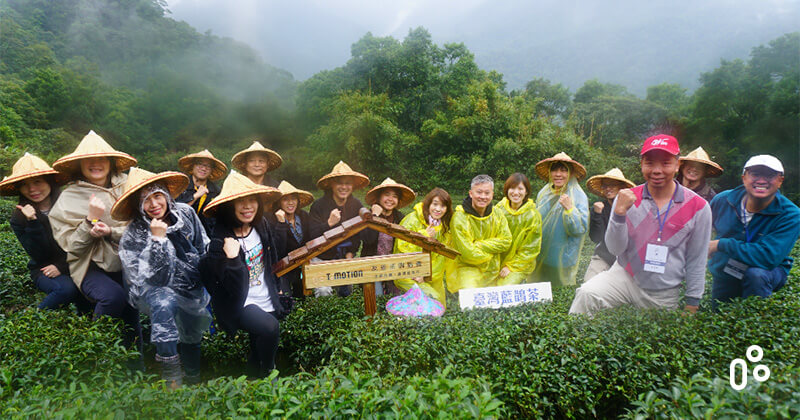TiMOTION support eco friendly tea garden